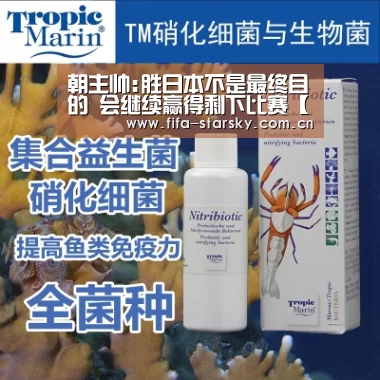 朝主帅:胜日本不是最终目的 会继续赢得剩下比赛【星空体育直播】(图4)
