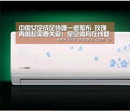 中国女足成足协唯一遮羞布 玫瑰再崛起需要关爱：星空体育在线登陆(图1)