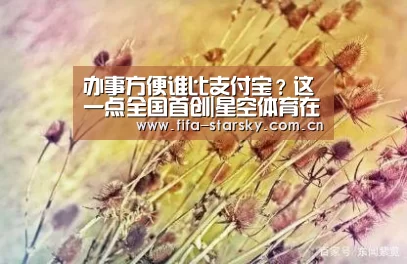 星空体育直播