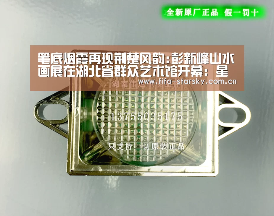 笔底烟霞再现荆楚风韵:彭新峰山水画展在湖北省群众艺术馆开幕：星空体育直播(图1)