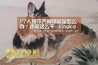 1个人攒不齐种树能量怎么办?还能这么干-xingkongsports(图1) 星空体育直播