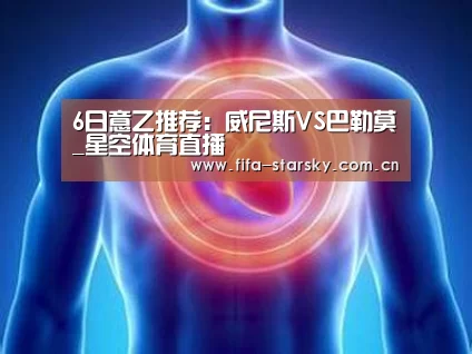 6日意乙推荐：威尼斯VS巴勒莫_星空体育直播