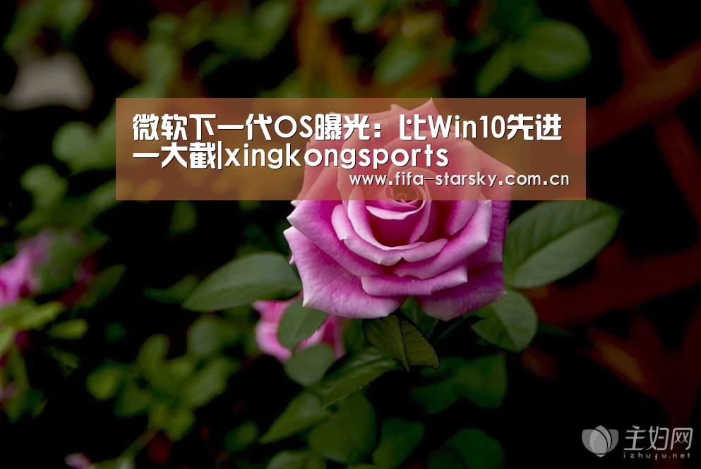 星空体育在线登陆
